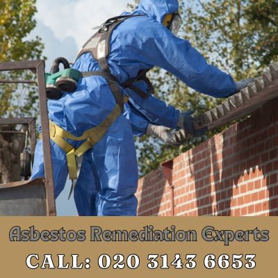 Asbestos Remediation Experts Coombe