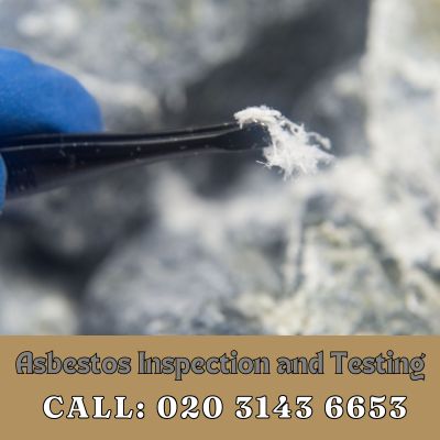 Comprehensive Asbestos Inspection and Testing Services in Coombe